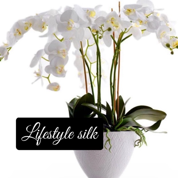 Like  for a 5% discount! - Picture 2 of 7